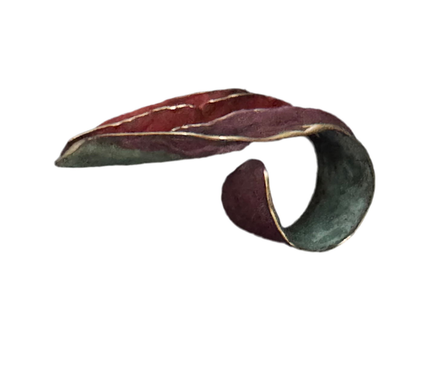 Anillo Océano.