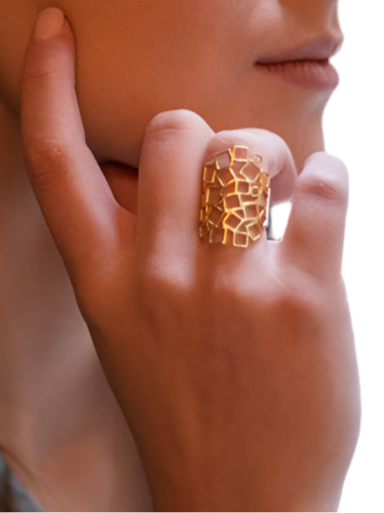 Anillo cuadrado al cuadrado