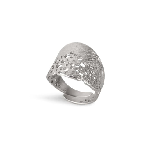 Anillo Horada plata