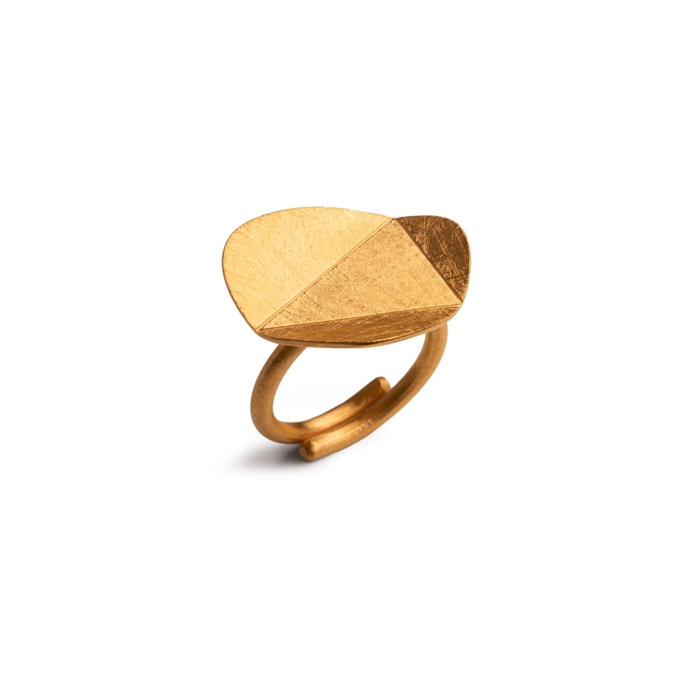 Anillo Duna