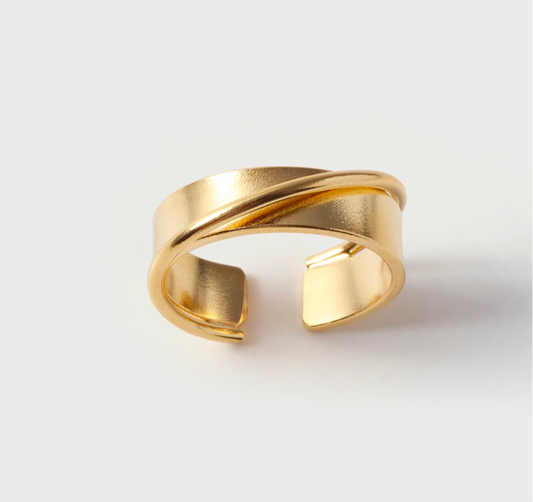 Anillo Jun